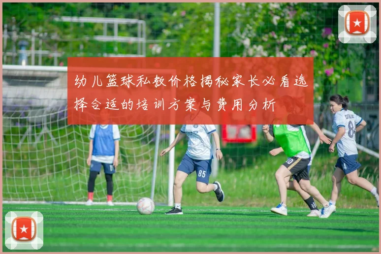 幼儿篮球私教价格揭秘家长必看选择合适的培训方案与费用分析